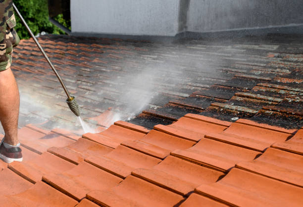 Best Deck Cleaning Services  in Mantachie, MS