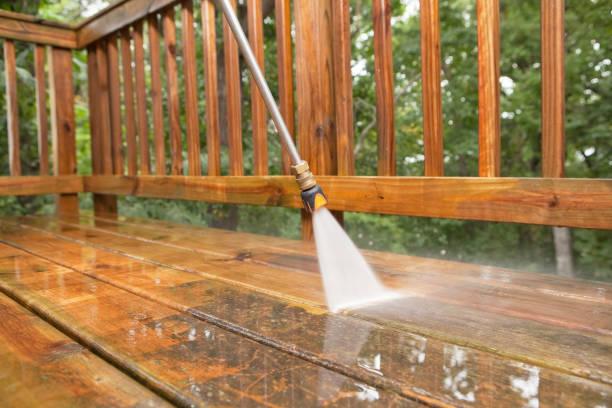 Best Pressure Washing Siding  in Mantachie, MS