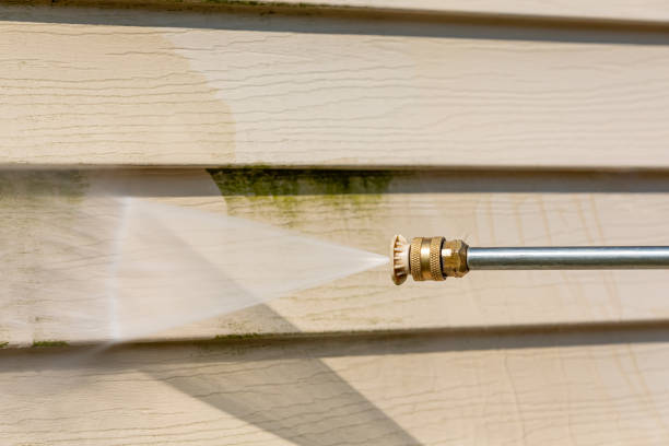 Best Local Pressure Washing Services  in Mantachie, MS